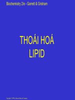 Tài liệu THOÁI HOÁ LIPID pdf