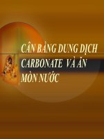 đề tài cân bằng dung dịch carbonate và ăn mòn