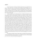 một tình huống về cạnh tranh không lành mạnh trong quảng cáo về sản phẩm mì ăn liền ở việt nam