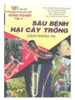 Tài liệu Sâu bệnh hại cây trồng cách phòng trị doc