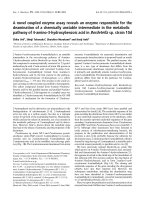 Tài liệu Báo cáo khoa học: A novel coupled enzyme assay reveals an enzyme responsible for the deamination of a chemically unstable intermediate in the metabolic pathway of 4-amino-3-hydroxybenzoic acid inBordetellasp. strain 10d doc