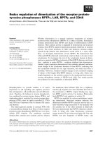 Tài liệu Báo cáo khoa học: Redox regulation of dimerization of the receptor proteintyrosine phosphatases RPTPa, LAR, RPTPl and CD45 pdf