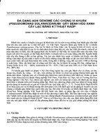 Tài liệu Báo cáo 