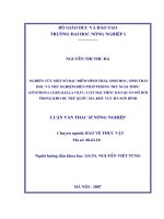 nghiên cứu một số đặc điểm hình thái, sinh học, sinh thái học và thử nghiệm biện pháp phòng trừ ngài thóc sitotroga cerealella oliv