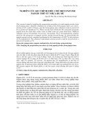 Tài liệu NGHIÊN CỨU QUI TRÌNH ĐIỀU CHẾ BỘT ENZYME PAPAIN THÔ TỪ NHỰA ĐU ĐỦ pdf