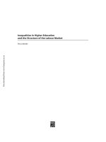 Tài liệu Inequalities in Higher Education and the Structure of the Labour Market pdf