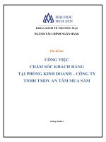Công việc chăm sóc khách hàng tại phòng kinh doanh – công ty TNHH TMDV An Tâm mua sắm