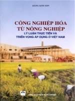 Tài liệu Công nghiệp hóa từ nông nghiệp lý luận thực tiễn và triển vọng áp dụng ở Việt Nam doc