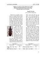 Tài liệu Nghiên cứu sử dụng các hợp chất hóa học tự nhiên nhằm hạn chế quá trình xâm hại của côn trùng, bảo quản nông sản sau thu hoạch pdf