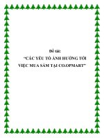 Tài liệu Đề tài: “CÁC YẾU TỐ ẢNH HƯỞNG TỚI VIỆC MUA SẮM TẠI CO.OPMART” ppt