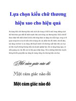 Tài liệu Lựa chọn kiểu chữ thương hiệu sao cho hiệu quả doc