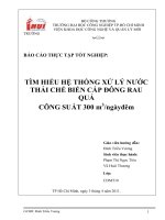 TÌM HIỂU HỆ THỐNG XỬ LÝ NƯỚC THẢI CHẾ BIẾN CẤP ĐÔNG RAU QUẢ CÔNG SUẤT 300 m3/ngày đêm.