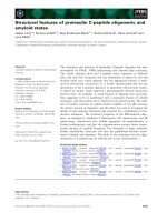 Tài liệu Báo cáo khoa học: Structural features of proinsulin C-peptide oligomeric and amyloid states pptx
