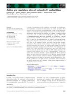 Tài liệu Báo cáo khoa học: Active and regulatory sites of cytosolic 5¢-nucleotidase doc
