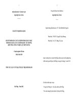 Tài liệu Luận văn: Chuyển đổi báo cáo tài chính theo chuẩn mực trình bày báo cáo tài chính quốc tế trường hợp tổng công ty điện lực miền trung potx