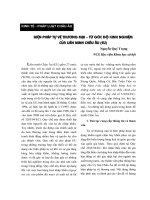 Tài liệu Báo cáo 