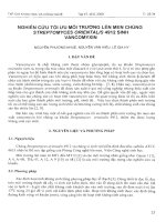 Tài liệu Báo cáo 