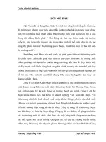 phương hướng và giải pháp phát triển thị trường xuất khẩu của công ty cổ phần xuất nhập khẩu tạp phẩm