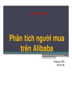 alibaba buyer analysis - vietnamese