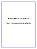 Tài liệu 9 bí quyết hay để bạn trải thảm Trong không gian nhà ở vào mùa đông pot