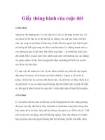 Tài liệu Giấy thông hành của cuộc đời pptx