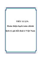 TIỂU LUẬN Hoàn thiện hạch toán chênh lệch tỷ giá hối đoái ở Việt Nam