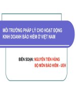 Tài liệu MÔI TRƯỜNG PHÁP LÝ CHO HOẠT ĐỘNG KINH DOANH BẢO HIỂM Ở VIỆT NAM pdf