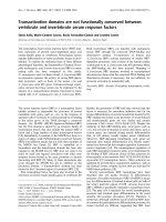 Tài liệu Báo cáo Y học: Transactivation domains are not functionally conserved between vertebrate and invertebrate serum response factors potx