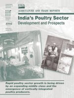 Tài liệu India’s Poultry Sector: Development and Prospects docx