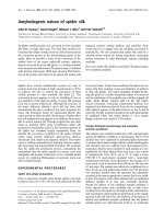 Tài liệu Báo cáo khoa học: Amyloidogenic nature of spider silk ppt