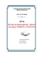 Kế toán các khoản phải thu – phải trả tại công ty TNHH SX và TM Lê Sơn