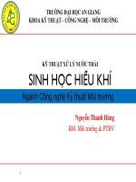 Tài liệu SINH HỌC HIẾU KHÍ pdf
