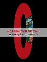 Tài liệu OCCUPATIONAL CANCER/ZERO CANCER: A union guide to prevention docx