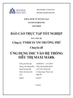 ứng dụng imc vào hệ thống siêu thị maxi mark