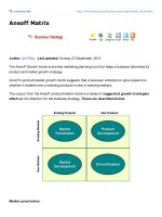 Ansoff Growth matrix