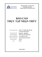 công ty tnhh liên doanh austfeed bình định