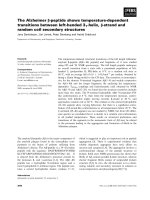 Tài liệu Báo cáo khoa học: The Alzheimer b-peptide shows temperature-dependent transitions between left-handed 31-helix, b-strand and random coil secondary structures doc