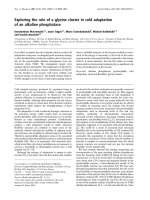 Tài liệu Báo cáo Y học: Exploring the role of a glycine cluster in cold adaptation of an alkaline phosphatase pdf