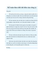 Tài liệu Kế toán theo dõi chi tiêu của công ty pptx