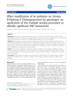 Tài liệu Effect modification of air pollution on Urinary 8-Hydroxy-2’-Deoxyguanosine by genotypes: an application of the multiple testing procedure to identify significant SNP interactions ppt