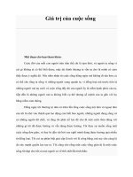 Tài liệu Giá trị của cuộc sống ppt