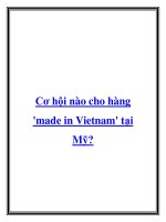 Tài liệu Cơ hội nào cho hàng ''''made in Vietnam'''' tại Mỹ? doc