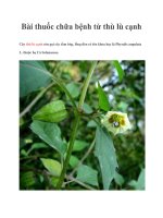 Tài liệu Bài thuốc chữa bệnh từ thù lù cạnh pot