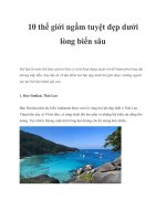 Tài liệu 10 thế giới ngầm tuyệt đẹp dưới lòng biển sâu pot