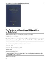 Tài liệu The Fundamental Principles of Old and New World Civilizations docx