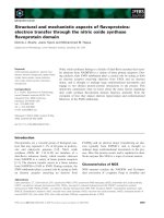Tài liệu Báo cáo khoa học: Structural and mechanistic aspects of ﬂavoproteins: electron transfer through the nitric oxide synthase ﬂavoprotein domain pdf