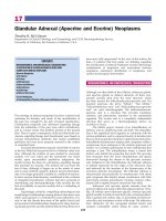 Tài liệu COLOR ATLAS OF DERMATOPATHOLOGY_2 pdf