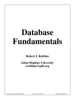 Tài liệu Database Fundamentals by Robert J. Robbins docx