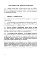 Tài liệu The Second Pillar – Supervisory Review Process ppt