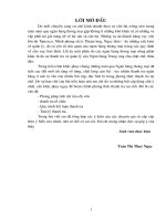 thanh tra ngân hàng, thanh tra tại chỗ của ngân hàng nhà nước việt nam